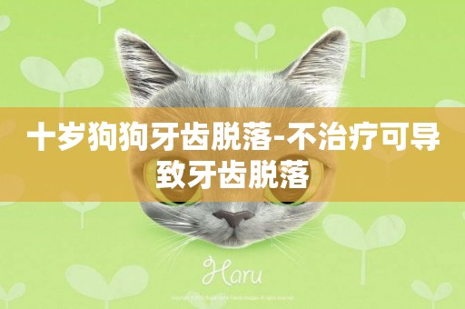 十歲狗狗牙齒脫落-不治療可導致牙齒脫落