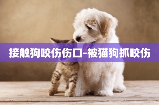 接觸狗咬傷傷口-被貓狗抓咬傷