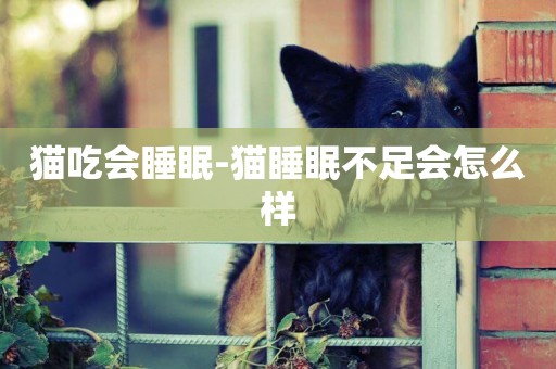 貓吃會睡眠-貓睡眠不足會怎么樣