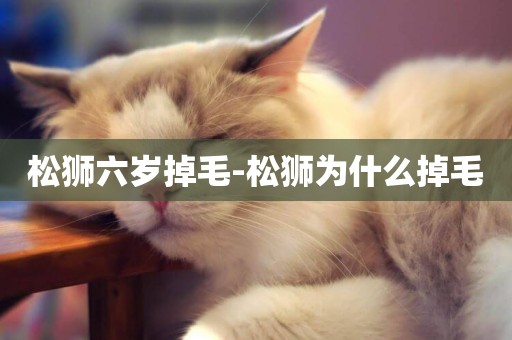 松獅六歲掉毛-松獅為什么掉毛