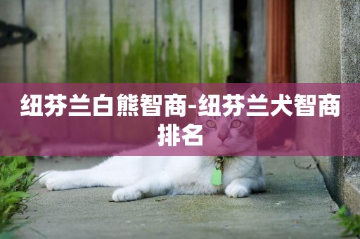 紐芬蘭白熊智商-紐芬蘭犬智商排名