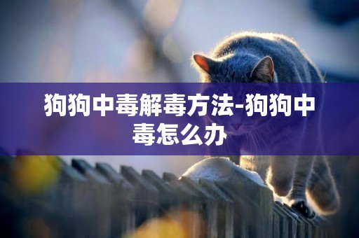 狗狗中毒解毒方法-狗狗中毒怎么辦