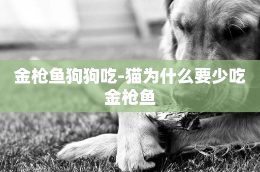 金槍魚狗狗吃-貓為什么要少吃金槍魚