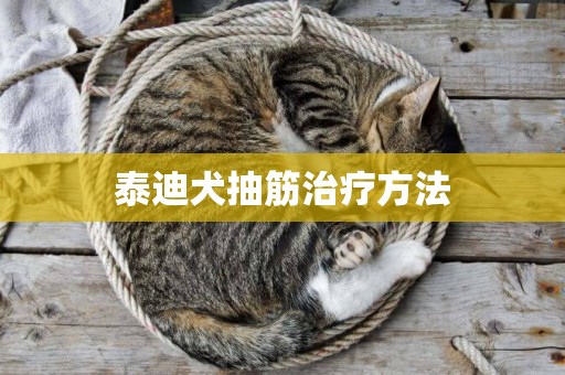 泰迪犬抽筋治療方法