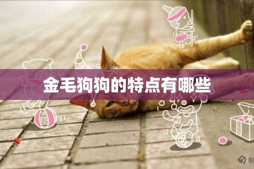 金毛狗狗的特點有哪些