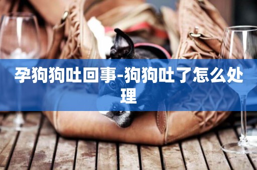 孕狗狗吐回事-狗狗吐了怎么處理