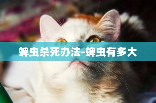 蜱蟲殺死辦法-蜱蟲有多大