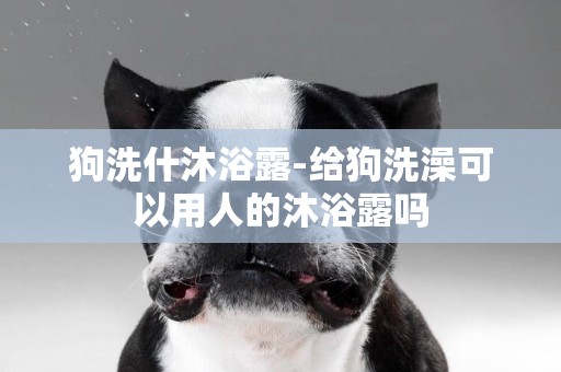 狗洗什沐浴露-給狗洗澡可以用人的沐浴露嗎