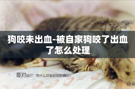 狗咬未出血-被自家狗咬了出血了怎么處理