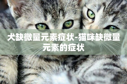 犬缺微量元素癥狀-貓咪缺微量元素的癥狀