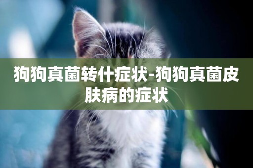 狗狗真菌轉什癥狀-狗狗真菌皮膚病的癥狀