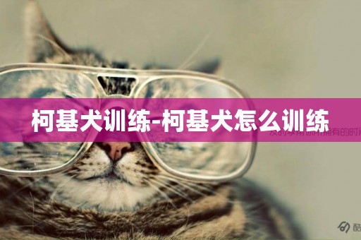 柯基犬訓練-柯基犬怎么訓練