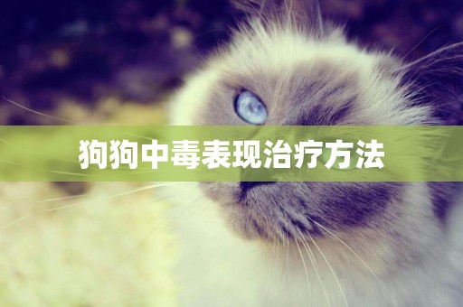 狗狗中毒表現治療方法