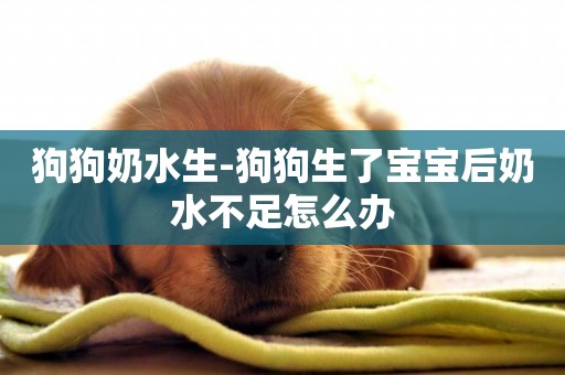 狗狗奶水生-狗狗生了寶寶后奶水不足怎么辦