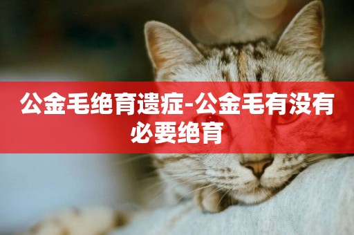 公金毛絕育遺癥-公金毛有沒有必要絕育