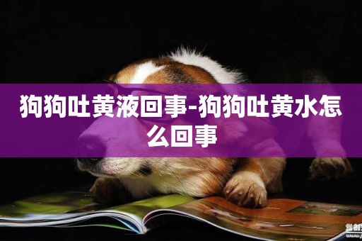 狗狗吐黃液回事-狗狗吐黃水怎么回事