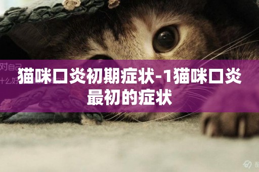 貓咪口炎初期癥狀-1貓咪口炎最初的癥狀