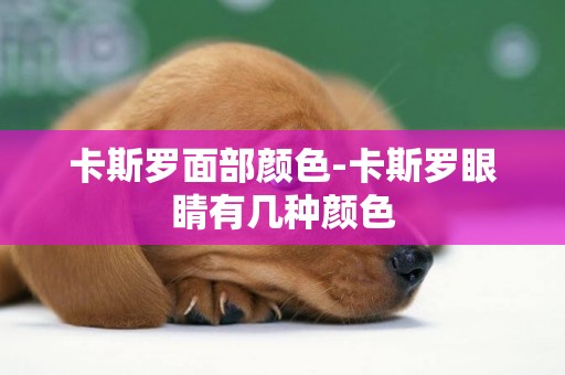 卡斯羅面部顏色-卡斯羅眼睛有幾種顏色