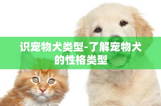 識寵物犬類型-了解寵物犬的性格類型