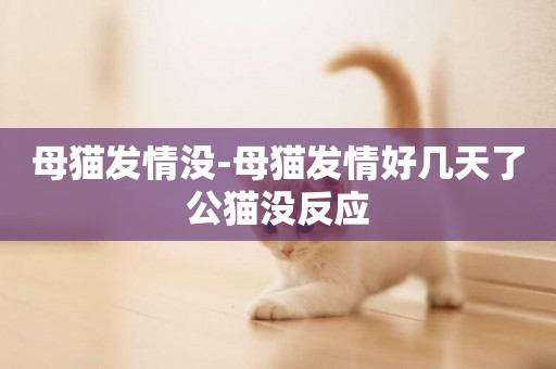母貓發情沒-母貓發情好幾天了公貓沒反應