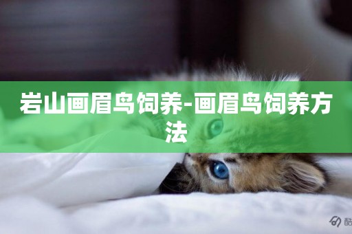 巖山畫眉鳥飼養-畫眉鳥飼養方法
