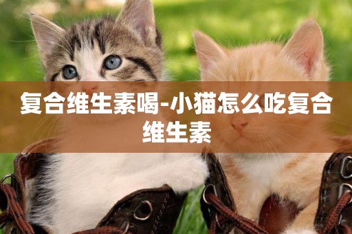 復合維生素喝-小貓怎么吃復合維生素