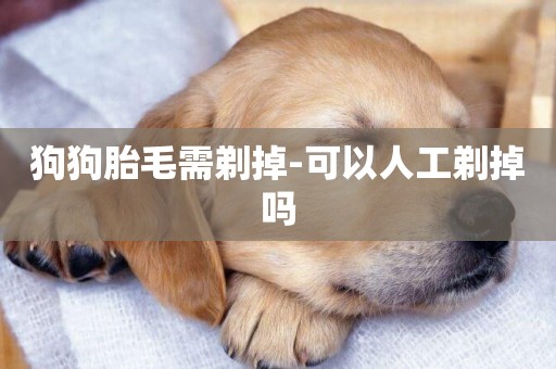 狗狗胎毛需剃掉-可以人工剃掉嗎