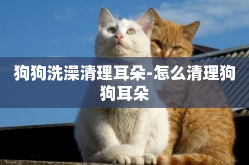 狗狗洗澡清理耳朵-怎么清理狗狗耳朵