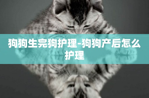 狗狗生完狗護理-狗狗產后怎么護理