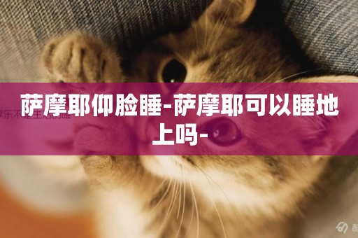 薩摩耶仰臉睡-薩摩耶可以睡地上嗎-