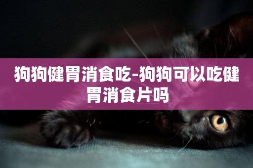 狗狗健胃消食吃-狗狗可以吃健胃消食片嗎