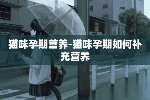 貓咪孕期營養-貓咪孕期如何補充營養