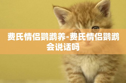 費氏情侶鸚鵡養-費氏情侶鸚鵡會說話嗎