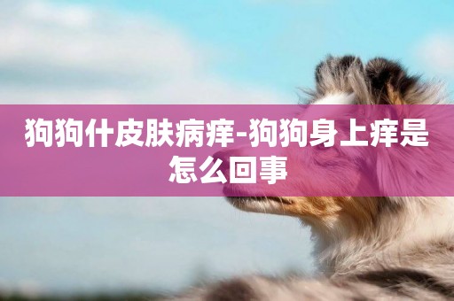 狗狗什皮膚病癢-狗狗身上癢是怎么回事