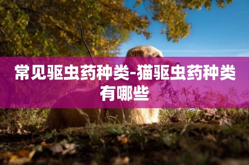 常見驅蟲藥種類-貓驅蟲藥種類有哪些