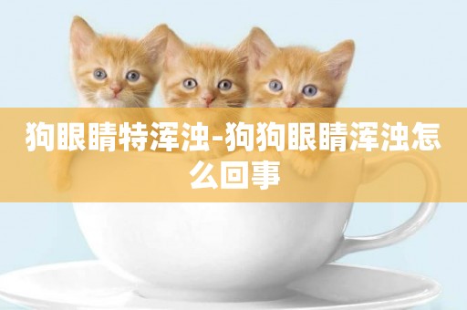 狗眼睛特渾濁-狗狗眼睛渾濁怎么回事