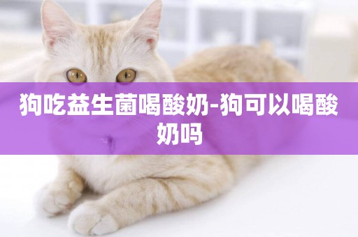 狗吃益生菌喝酸奶-狗可以喝酸奶嗎