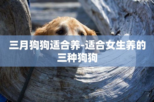 三月狗狗適合養-適合女生養的三種狗狗