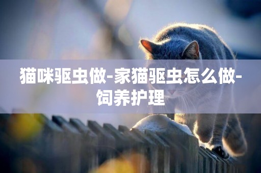 貓咪驅蟲做-家貓驅蟲怎么做-飼養護理