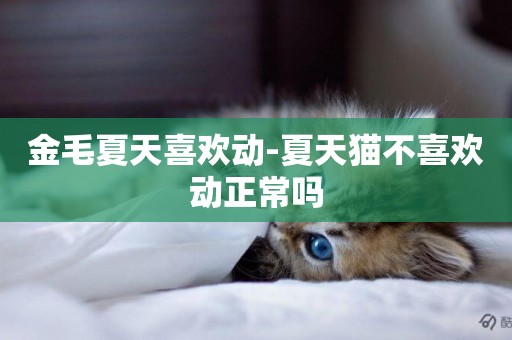 金毛夏天喜歡動-夏天貓不喜歡動正常嗎