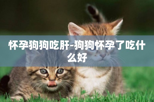 懷孕狗狗吃肝-狗狗懷孕了吃什么好