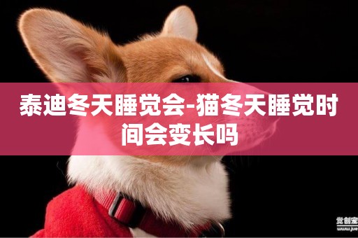 泰迪冬天睡覺會-貓冬天睡覺時間會變長嗎