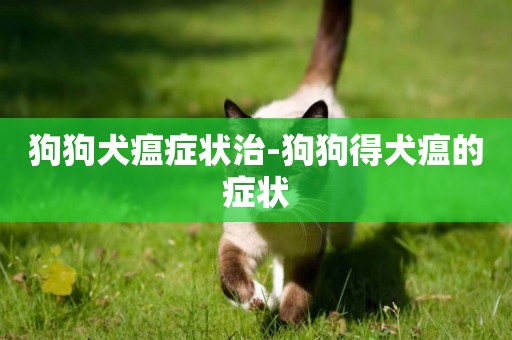 狗狗犬瘟癥狀治-狗狗得犬瘟的癥狀