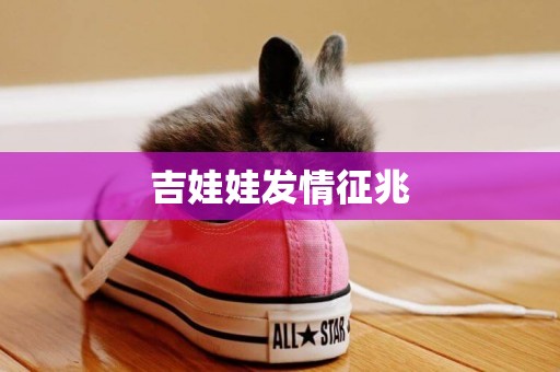 吉娃娃發情征兆