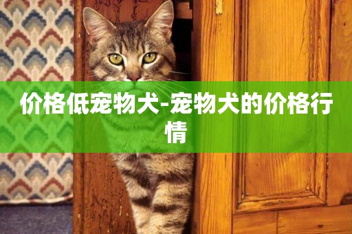 價格低寵物犬-寵物犬的價格行情
