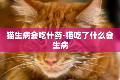 貓生病會吃什藥-貓吃了什么會生病