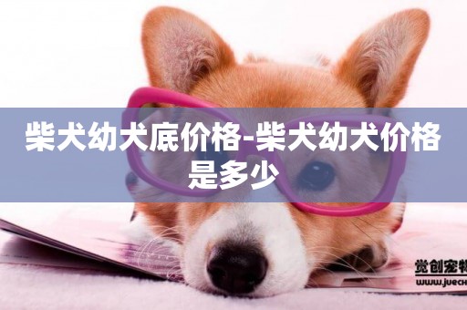 柴犬幼犬底價格-柴犬幼犬價格是多少