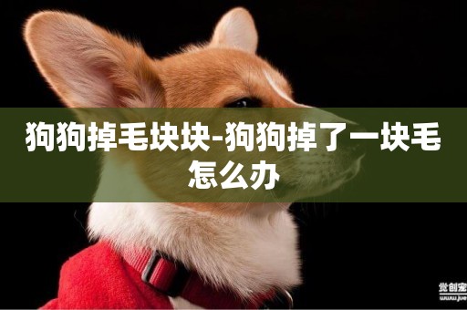 狗狗掉毛塊塊-狗狗掉了一塊毛怎么辦