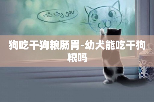 狗吃干狗糧腸胃-幼犬能吃干狗糧嗎