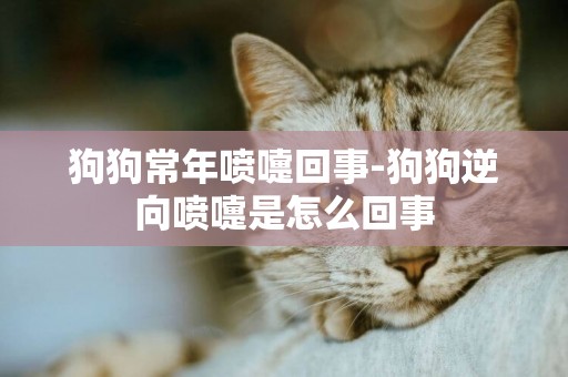 狗狗常年噴嚏回事-狗狗逆向噴嚏是怎么回事